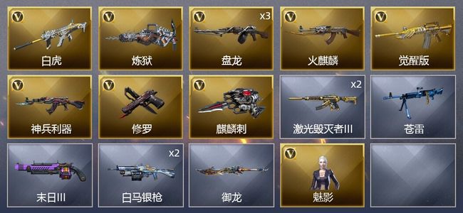 穿越火线（CF）10V武器 1V角色 3皮肤 可排位 专家