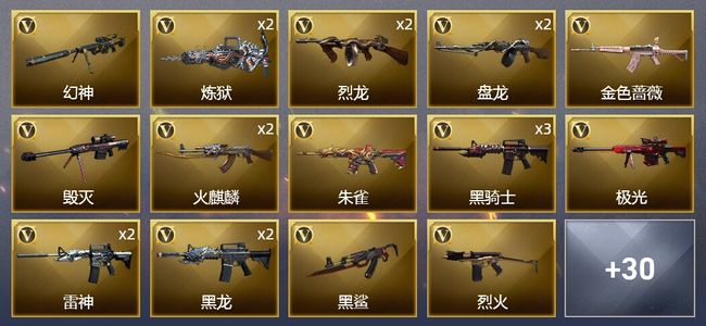 穿越火线（CF）5王者武器 3炫金武器 45V武器 2V角色 19皮肤 可排位 传奇