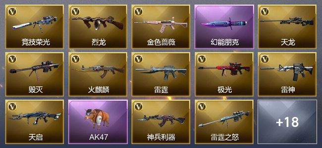 穿越火线（CF）40V武器 2V角色 6皮肤 可排位