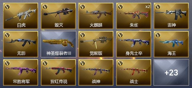 穿越火线（CF）1王者武器 22V武器 11皮肤 可排位 新锐