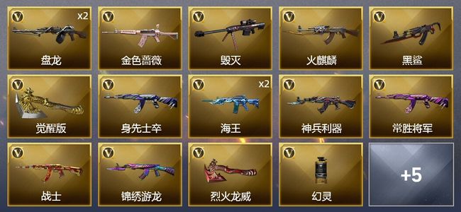 穿越火线（CF）17V武器 10皮肤 可排位 新锐