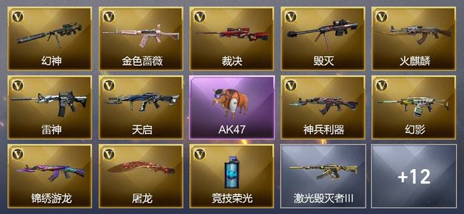 穿越火线（CF）12V武器 2V角色 16皮肤 可排位 枪王