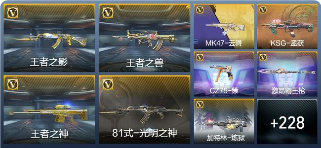 穿越火线：枪战王者V4 10王者武器 238英雄武器 8英雄角色 254万化 专家S