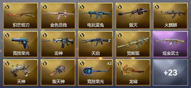 穿越火线（CF）1炫金武器 43V武器 1V角色 9皮肤 可排位 新锐