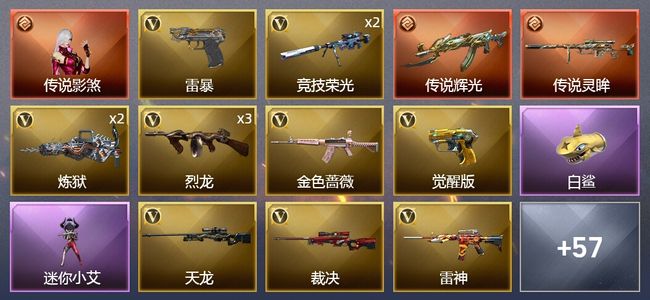 穿越火线（CF）1传说角色 3传说武器 5王者武器 1炫金武器 86V武器 4V角色 16皮肤 可排位 枪王