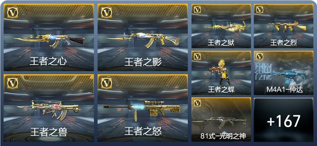 穿越火线：枪战王者26王者武器 176英雄武器 4英雄角色 312万化 专家S