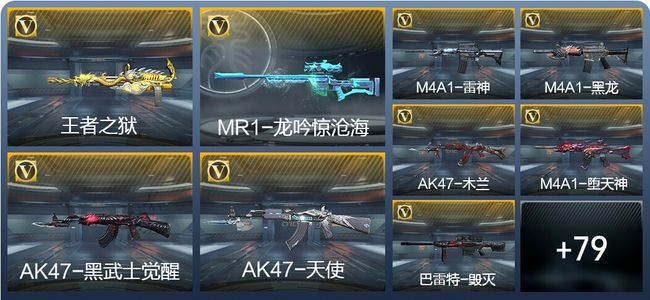 穿越火线：枪战王者V6 2王者武器 101英雄武器 274万化 专家