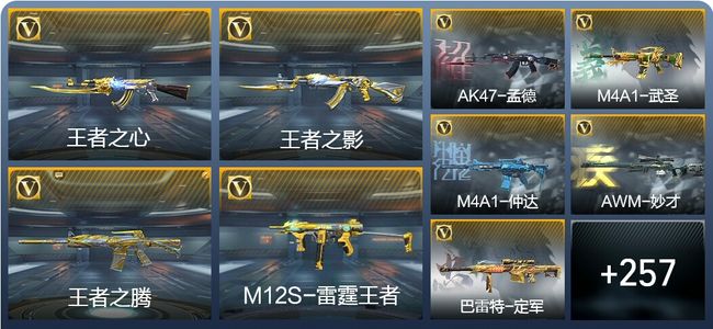 穿越火线：枪战王者19王者武器 266英雄武器 9英雄角色 499万化 枪王SSS