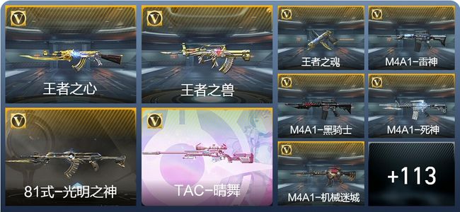 穿越火线：枪战王者7王者武器 122英雄武器 141万化 专家S