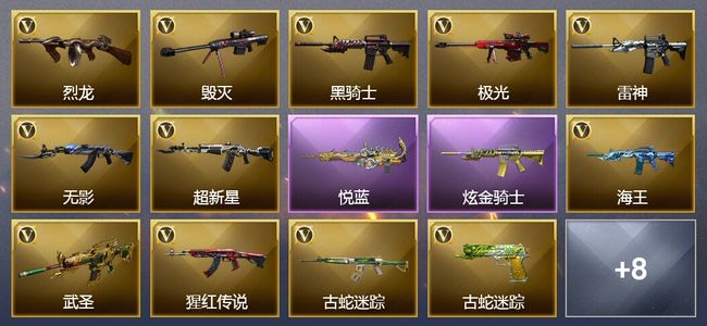 穿越火线（CF）8王者武器 1炫金武器 24V武器 2V角色 3皮肤 可排位