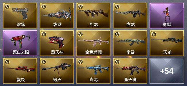 穿越火线（CF）26王者武器 8炫金武器 173V武器 11V角色 17皮肤 可排位