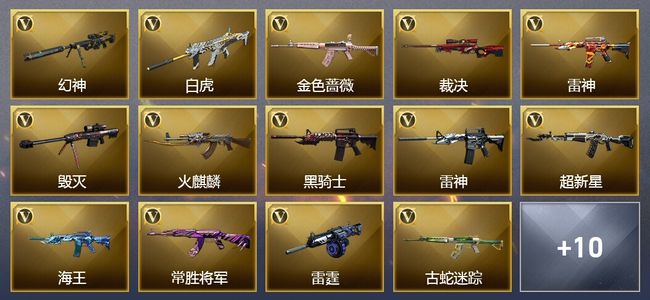 穿越火线（CF）1传说武器 6王者武器 40V武器 6V角色 5皮肤 可排位