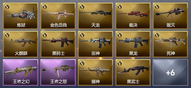 穿越火线（CF）6王者武器 23V武器 2V角色 4皮肤 可排位