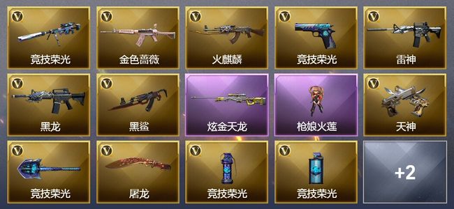 穿越火线（CF）1炫金武器 16V武器 4V角色 6皮肤 可排位