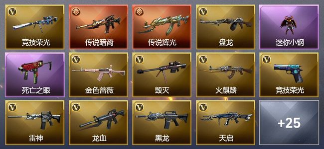 穿越火线（CF）2传说武器 5王者武器 1炫金武器 48V武器 3V角色 3皮肤 可排位