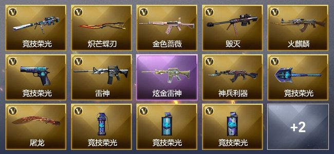 穿越火线（CF）1炫金武器 20V武器 2V角色 1皮肤 可排位