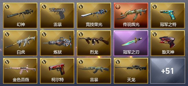 穿越火线（CF）1传说武器 24王者武器 6炫金武器 138V武器 13V角色 36皮肤 可排位