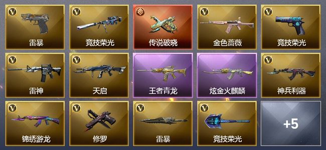 穿越火线（CF）1传说武器 3王者武器 1炫金武器 23V武器 3V角色 3皮肤 可排位