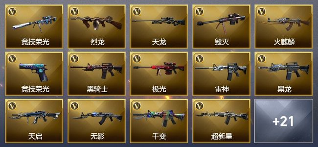穿越火线（CF）4王者武器 105V武器 5V角色 2皮肤 可排位