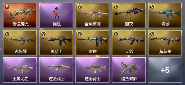 穿越火线（CF）1传说武器 3王者武器 3炫金武器 14V武器 3V角色 5皮肤 可排位