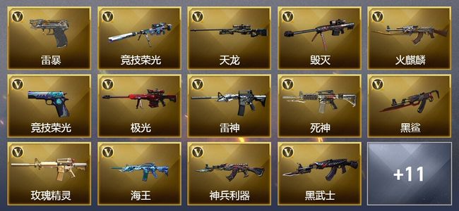 穿越火线（CF）3王者武器 29V武器 2V角色 2皮肤 可排位