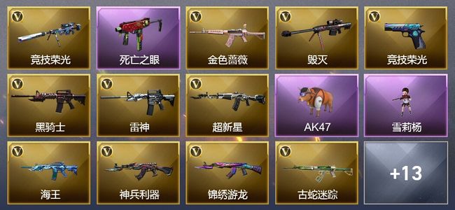 穿越火线（CF）4王者武器 49V武器 4V角色 6皮肤 可排位