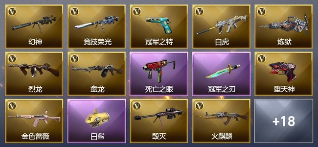 穿越火线（CF）4王者武器 55V武器 7V角色 6皮肤 可排位