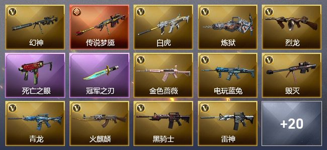 穿越火线（CF）1传说武器 3王者武器 48V武器 5V角色 4皮肤 可排位