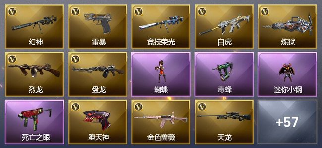 穿越火线（CF）11王者武器 7炫金武器 139V武器 16V角色 9皮肤 可排位