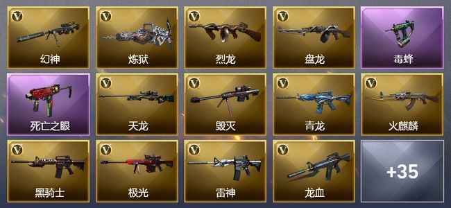 穿越火线（CF）14王者武器 3炫金武器 79V武器 5V角色 12皮肤 可排位
