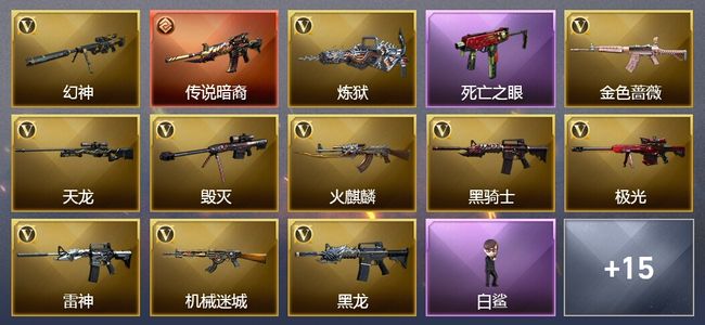 穿越火线（CF）1传说武器 3王者武器 2炫金武器 26V武器 2V角色 9皮肤 可排位