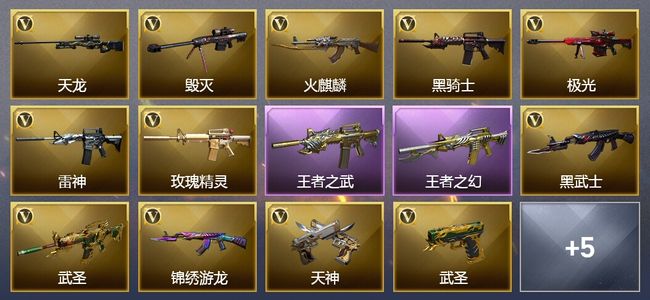 穿越火线（CF）2王者武器 23V武器 1V角色 5皮肤 可排位