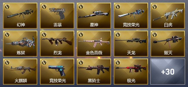 穿越火线（CF）10王者武器 1炫金武器 60V武器 9V角色 12皮肤 可排位