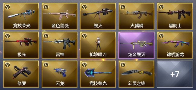 穿越火线（CF）2王者武器 1炫金武器 29V武器 5V角色 2皮肤 可排位