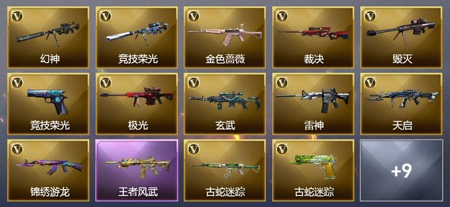 穿越火线（CF）8王者武器 43V武器 5V角色 2皮肤 可排位