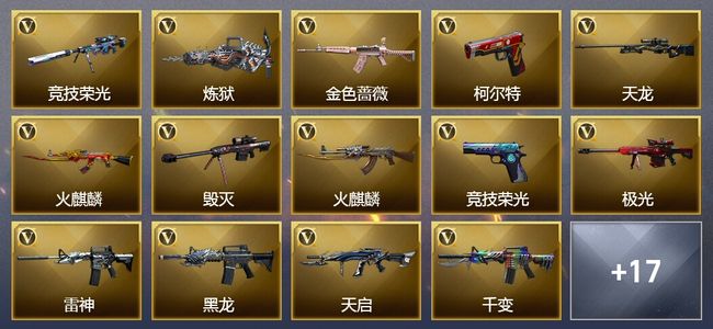 穿越火线（CF）2王者武器 1炫金武器 40V武器 5V角色 8皮肤 可排位