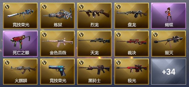 穿越火线（CF）20王者武器 4炫金武器 73V武器 7V角色 13皮肤 可排位