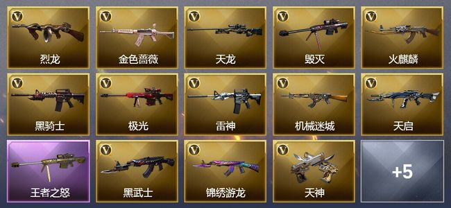 穿越火线（CF）1王者武器 22V武器 4皮肤 可排位