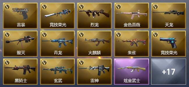 穿越火线（CF）1王者武器 2炫金武器 44V武器 3V角色 4皮肤 可排位
