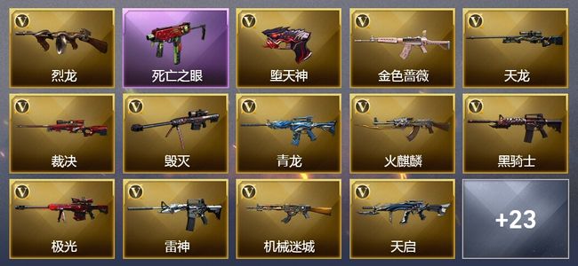 穿越火线（CF）13王者武器 4炫金武器 58V武器 5V角色 1皮肤 可排位