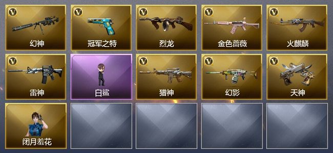穿越火线（CF）2王者武器 17V武器 1V角色 7皮肤 可排位
