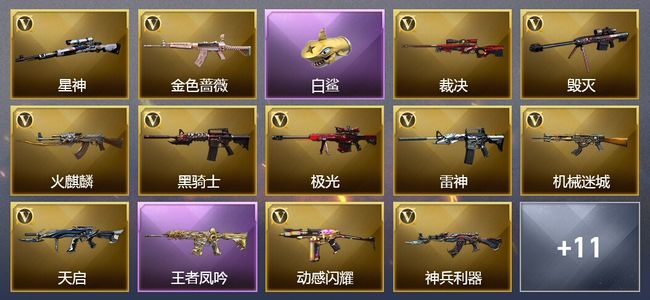 穿越火线（CF）6王者武器 31V武器 4V角色 5皮肤 可排位