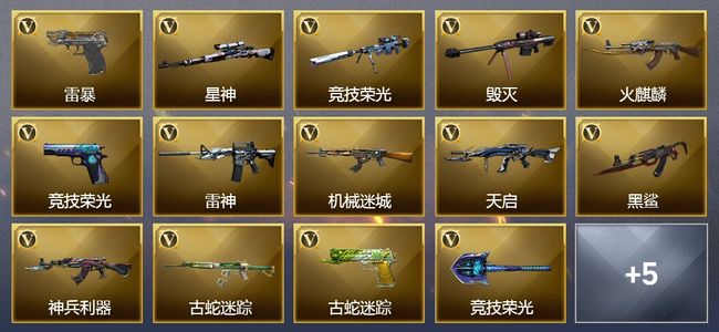 穿越火线（CF）22V武器 15V角色 5皮肤 可排位