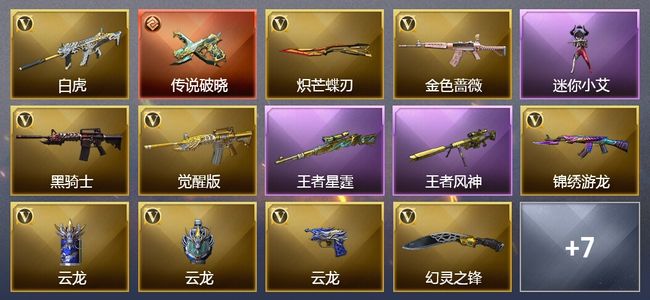 穿越火线（CF）1传说武器 3王者武器 23V武器 11V角色 3皮肤 可排位