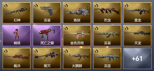 穿越火线（CF）13王者武器 14炫金武器 163V武器 23V角色 20皮肤 可排位