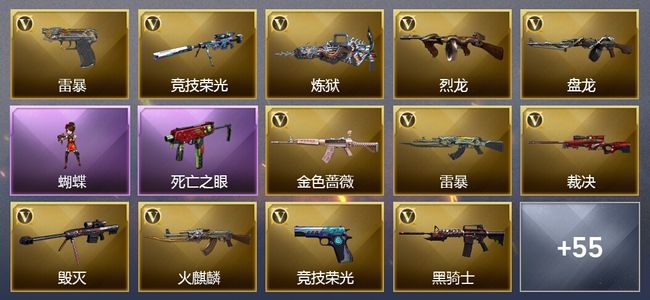 穿越火线（CF）1传说角色 7王者武器 3炫金武器 106V武器 49V角色 43皮肤 可排位