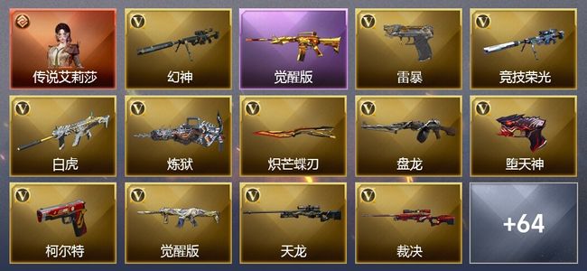 穿越火线（CF）1传说角色 18王者武器 4炫金武器 103V武器 14V角色 24皮肤 可排位