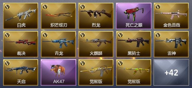 穿越火线（CF）1传说武器 6王者武器 59V武器 24V角色 9皮肤 可排位