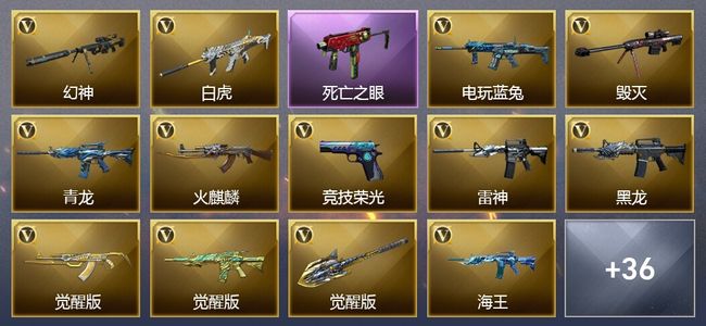 穿越火线（CF）5王者武器 67V武器 17V角色 13皮肤 可排位