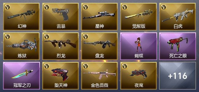 穿越火线（CF）20王者武器 11炫金武器 211V武器 32V角色 50皮肤 可排位